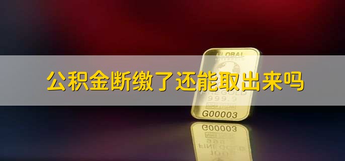 公积金在职怎么提取出来(图2)